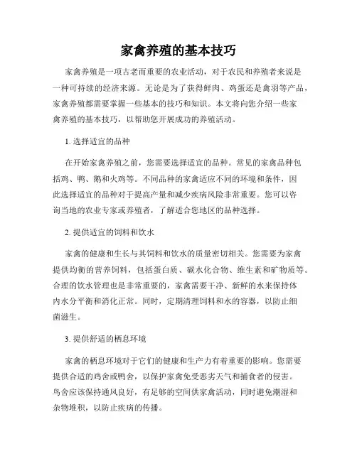 家禽养殖的基本技巧