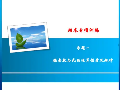 期末专项训练 专题一 探索数与式的运算性质及规律