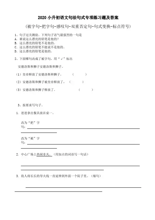 2020小升初语文句法句式专项练习题及答案(被字句、把字句、否定句等)