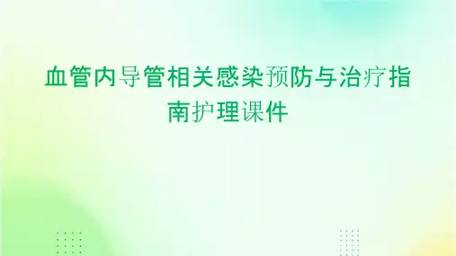 血管内导管相关感染预防与治疗指南护理课件
