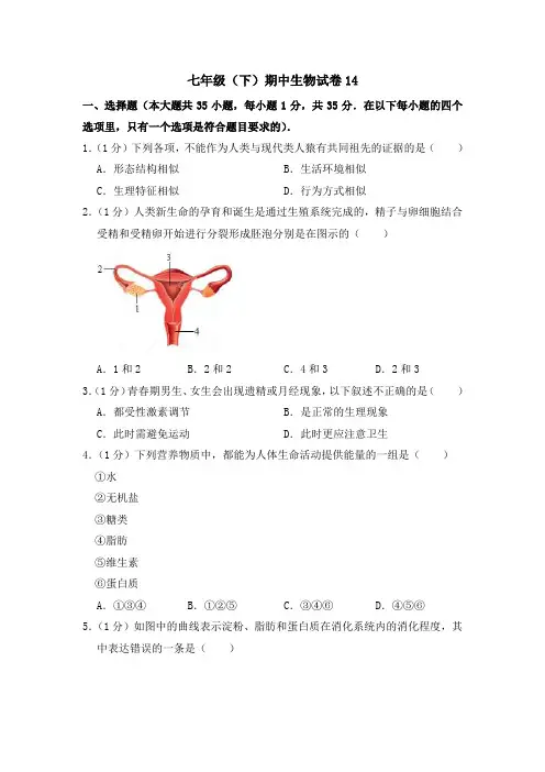 2020-2021学年七年级下学期生物期中考试试题(人教版) (word版 含答案) (6)