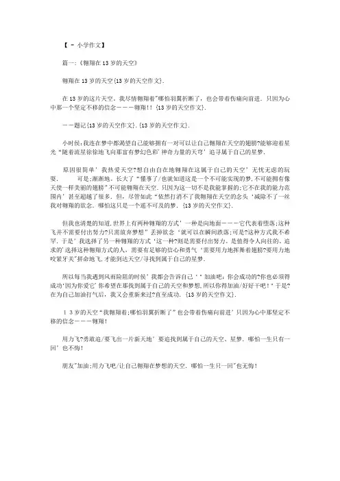13岁的天空作文