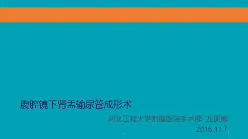 腹腔镜下肾盂输尿管成形术PPT课件