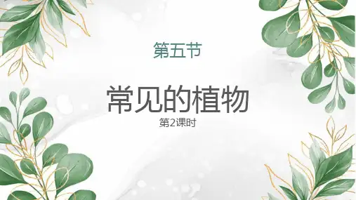 《常见的植物》PPT教学课件(第2课时)