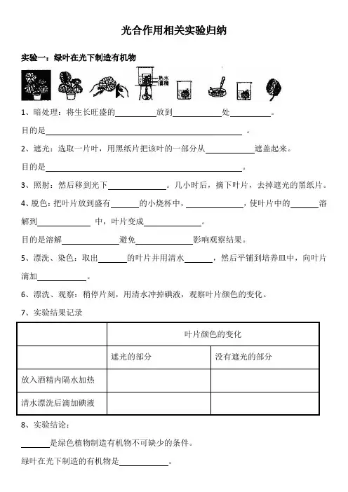 光合作用相关实验