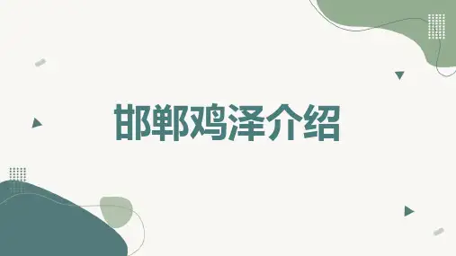 邯郸鸡泽介绍