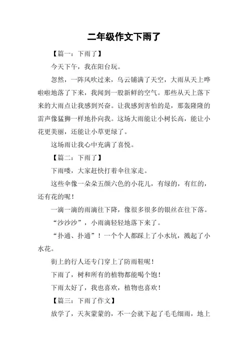二年级作文下雨了