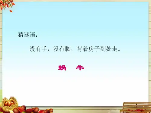 12观察蜗牛精品PPT课件