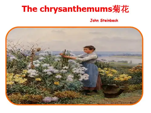 The Chrysanthemums 菊花