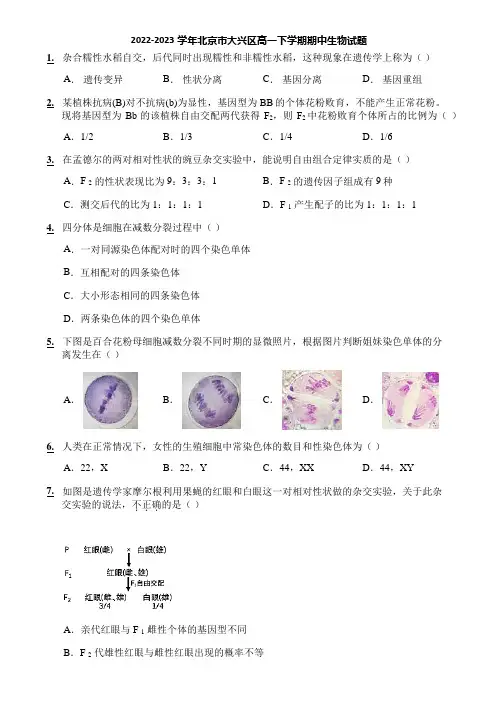 2022-2023学年北京市大兴区高一下学期期中生物试题