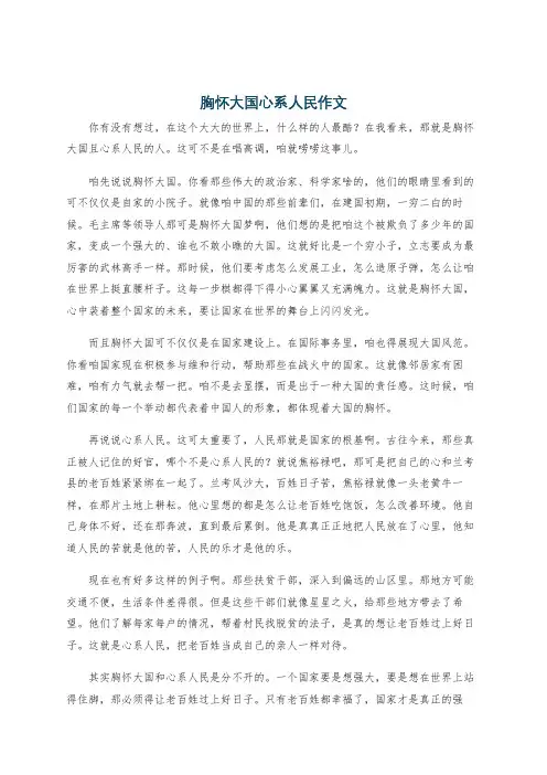 胸怀大国心系人民作文
