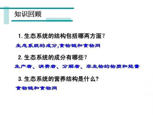人教版教学课件【简洁版】第五章 第三节 生态系统的能量流动