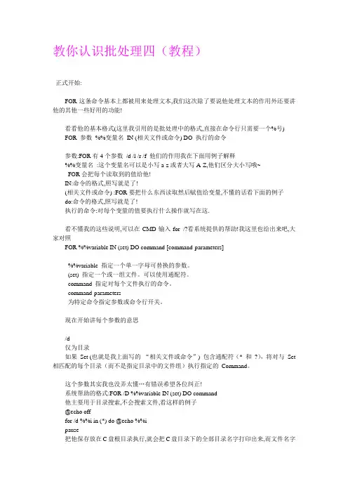 教你认识批处理四