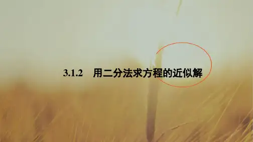 2018学年高一数学人教A版必修一 课件 第三章 函数的应用 3.1.2 精品