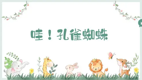 美术教材、教案课件—— 《哇!孔雀蜘蛛》