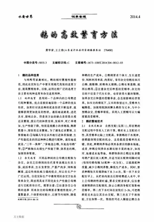 鹅的高效繁育方法