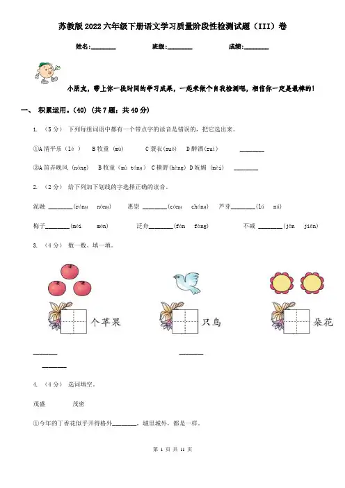 苏教版2022六年级下册语文学习质量阶段性检测试题(III)卷