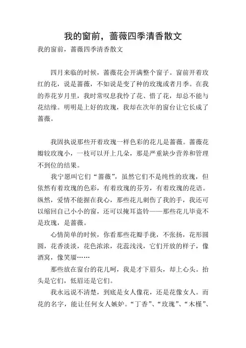 我的窗前,蔷薇四季清香散文