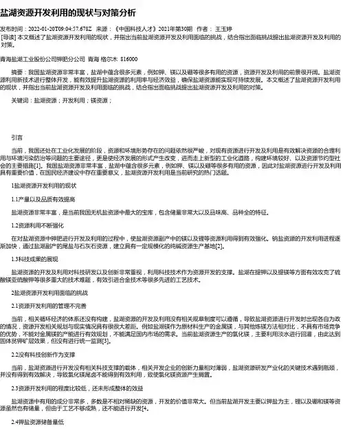 盐湖资源开发利用的现状与对策分析