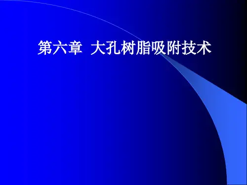 大孔吸附树脂的技术