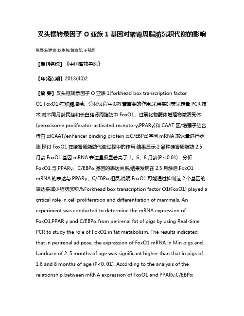 叉头框转录因子O亚族1基因对猪肾周脂肪沉积代谢的影响