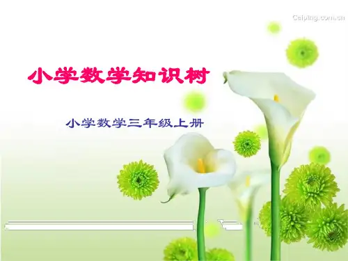三年级下数学知识树