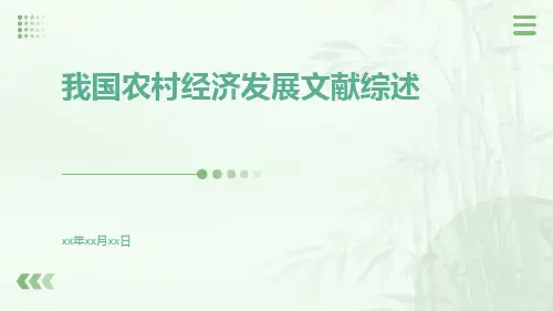 我国农村经济发展文献综述