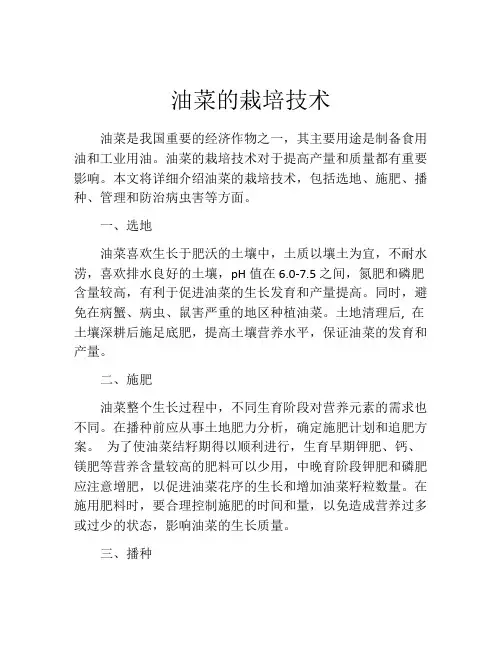 油菜的栽培技术