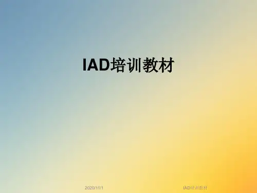 IAD培训教材