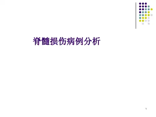 脊柱脊髓损伤PPT参考课件