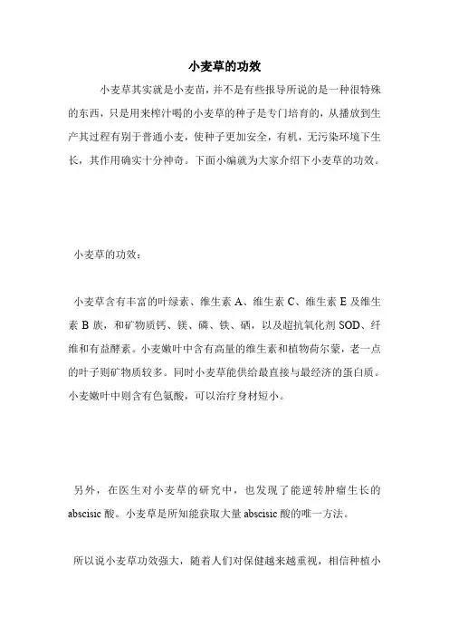 小麦草的功效.doc