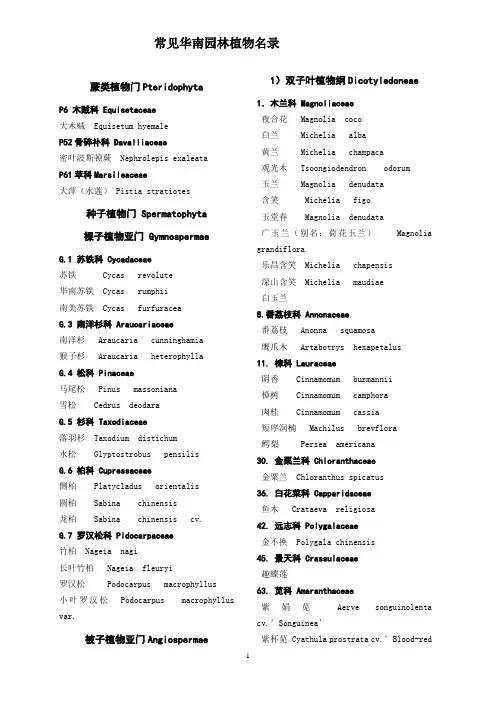 常见华南园林植物名录2013资料