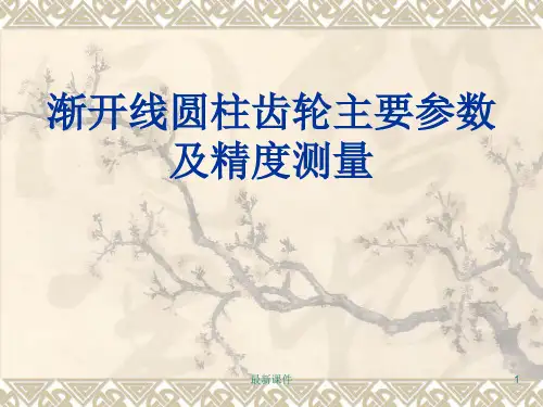 齿轮主要参数及测量PPT课件