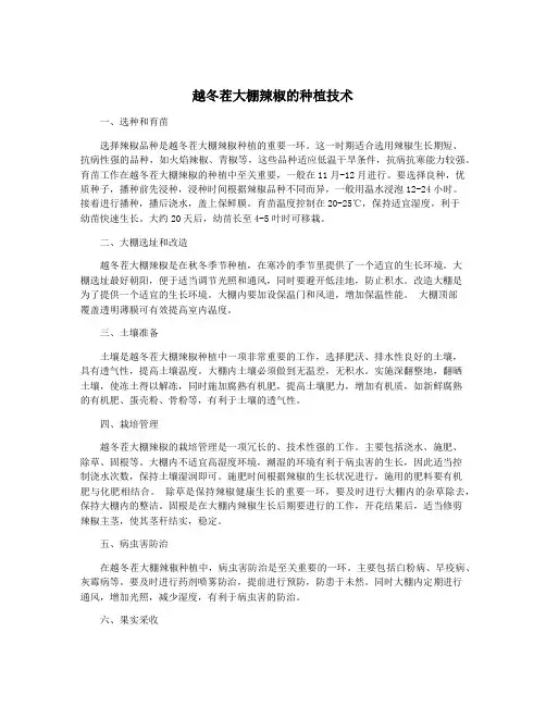 越冬茬大棚辣椒的种植技术