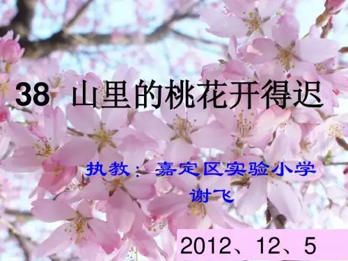 38.山里的桃花开得迟