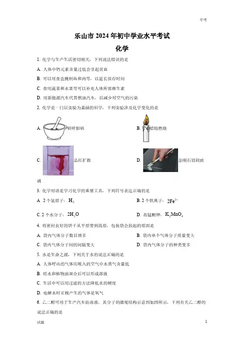 2024年四川省乐山市中考化学真题卷及答案解析