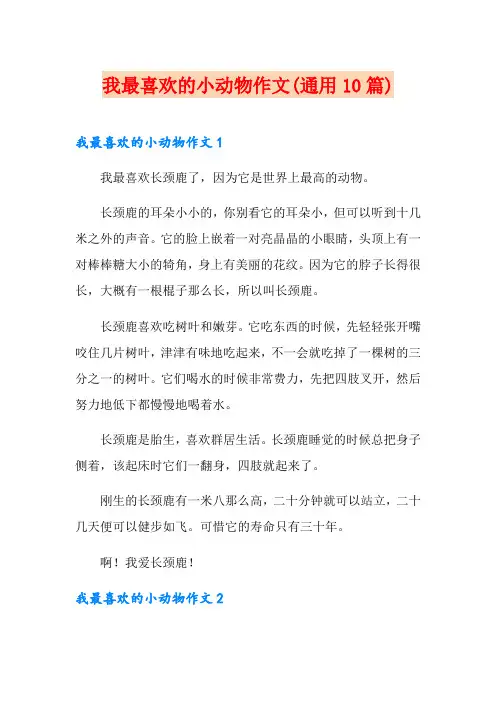 我最喜欢的小动物作文(通用10篇)