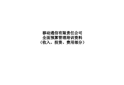 中国移动全面预算管理-162页精选文档