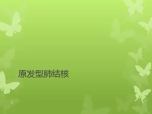 原发性肺结核PPT课件
