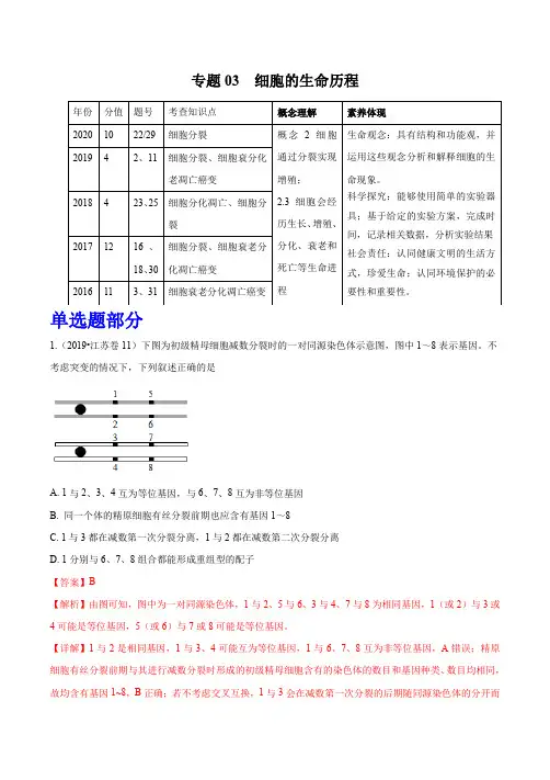 专题03细胞的生命历程-五年(2016-2020年)高考生物真题分项详解