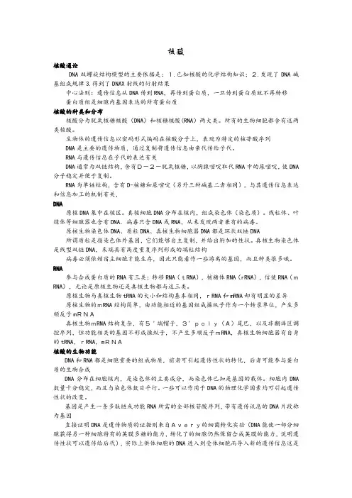 生物化学4 核酸