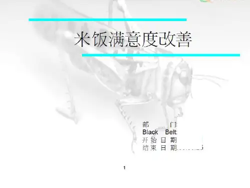 六西格玛经典案例(怎样煮米饭)(PPT33页)
