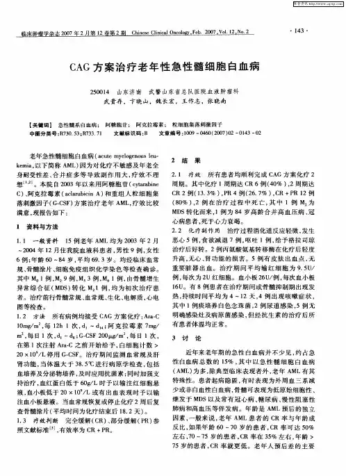 CAG方案治疗老年性急性髓细胞白血病