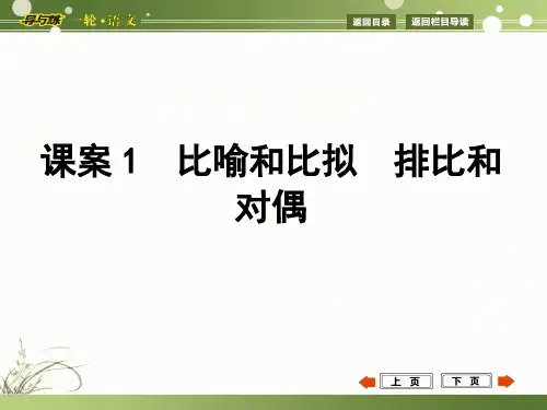 高考语文一轮复习《专题15正确运用常见的修辞手法》课件示范