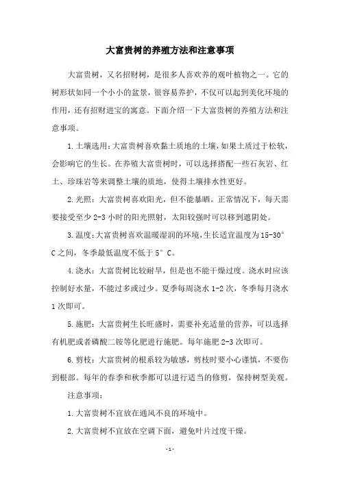 大富贵树的养殖方法和注意事项
