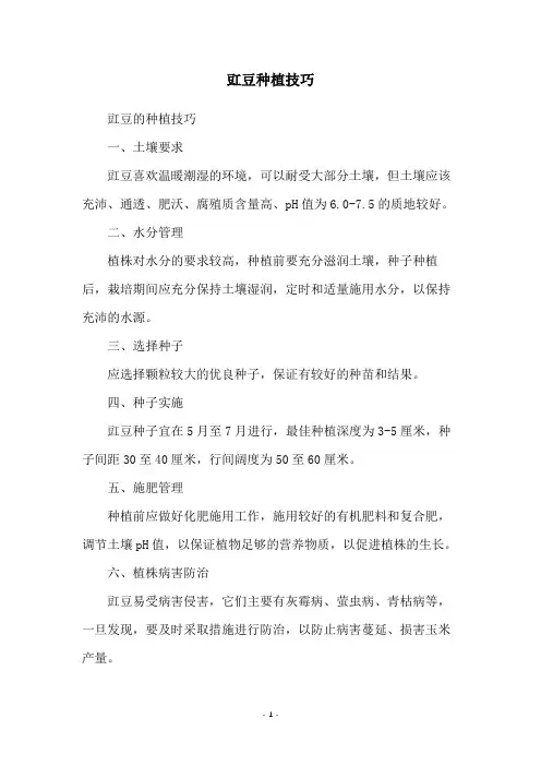 豇豆种植技巧
