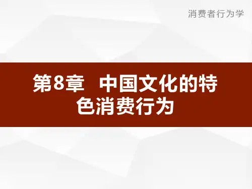 消费者行为学第4版PPT第8章