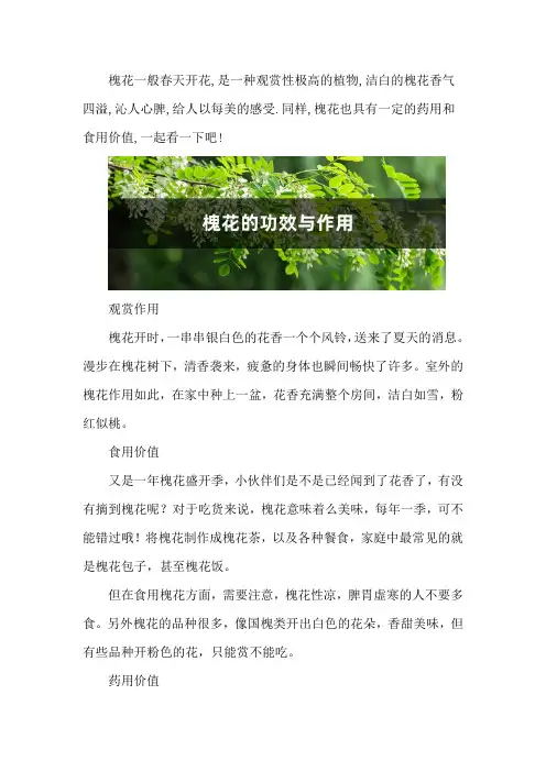 槐花的功效与作用