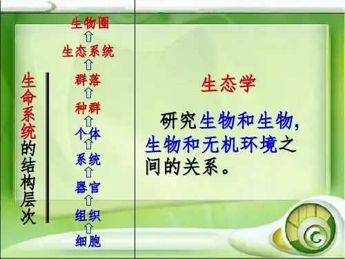 高中人教生物必修3种群的特征