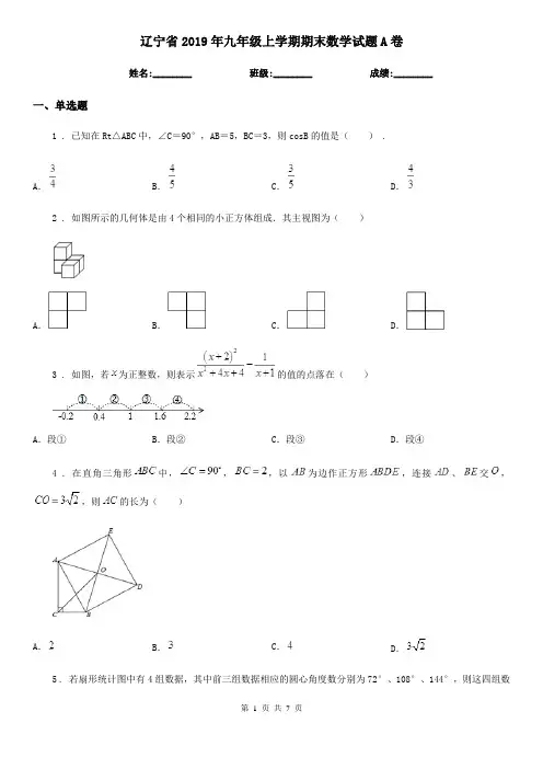 辽宁省2019年九年级上学期期末数学试题A卷